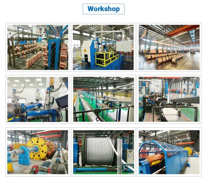 0.6/1 (1.2) Kv Low Voltage Al (Cu) /XLPE/PVC 4*50mm2+25mm2 4*70mm2+35mm2 4*95mm2+50mm2 Copper/Aluminum XLPE Insulated Unarmored Cable