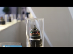 3 코어 XLPE 단열 된 구리 테이프 스크린 구리 선도자를 가진 무장 케이블